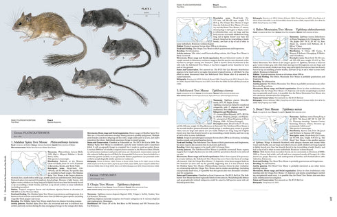 Handbook of the Mammals of the World no 7 - Rodents II -  Lynx 2017